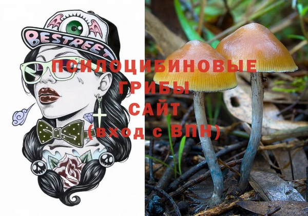 spice Волосово